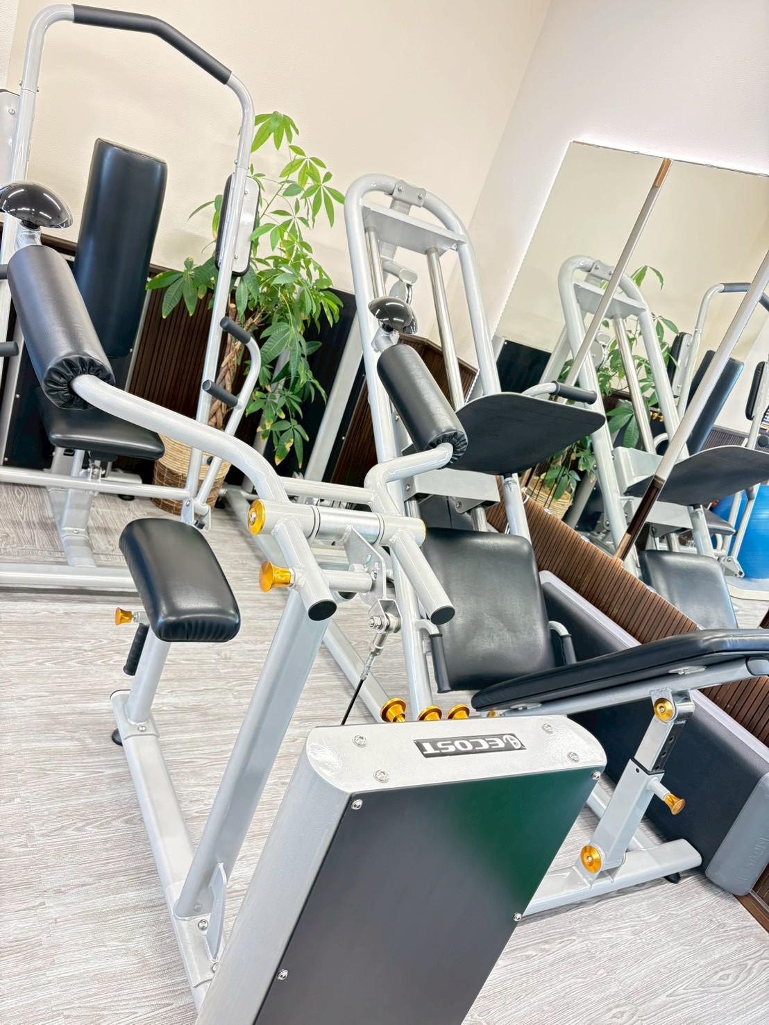 動的ストレッチマシンECOST